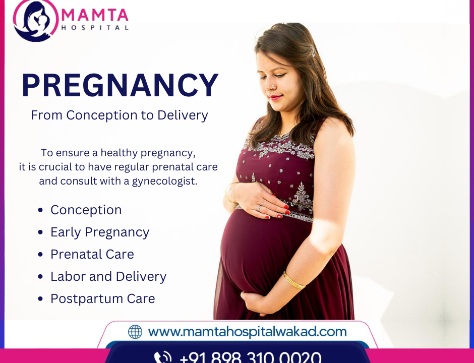 Pregnancy: From Conception to Delivery